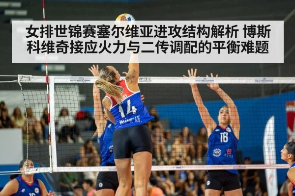女排世锦赛塞尔维亚进攻结构解析 博斯科维奇接应火力与二传调配的平衡难题