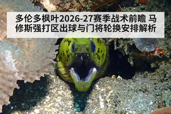 多伦多枫叶2026-27赛季战术前瞻 马修斯强打区出球与门将轮换安排解析
